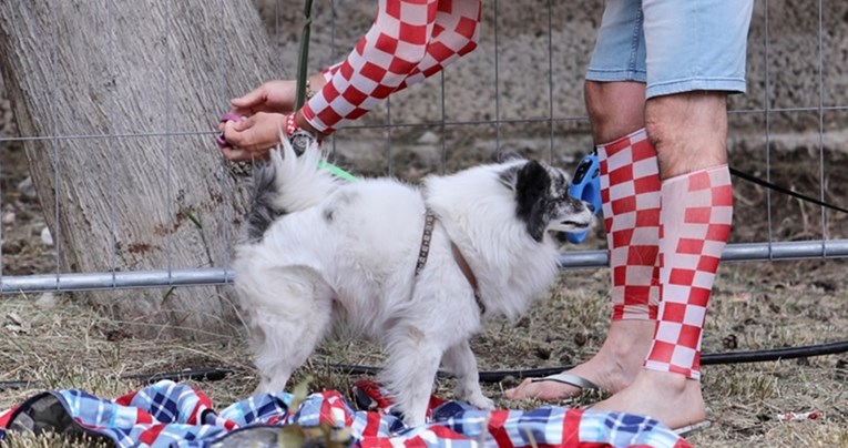 Preslatki psić ukrao pozornost u splitskoj fan zoni