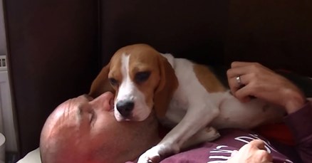 VIDEO Kujica je svog vlasnika ugledala nakon tri mjeseca i potpuno poludjela