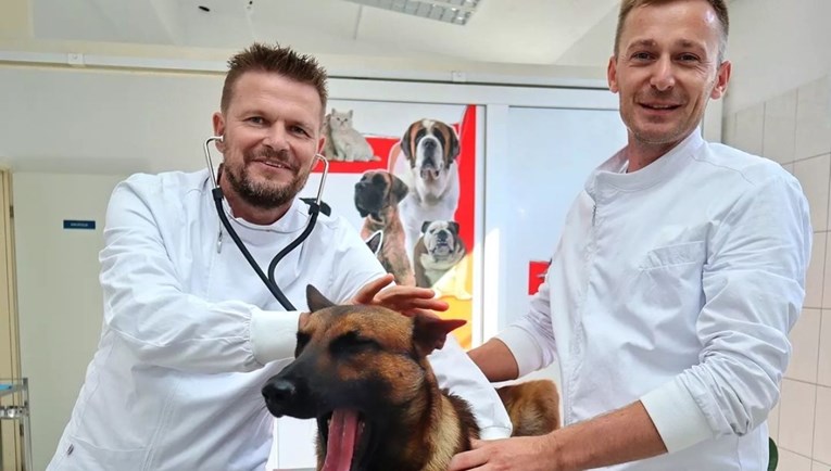Psi i mačke iz Solina sad imaju novu veterinarsku ambulantu
