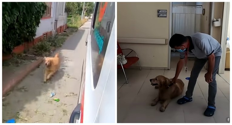 Pas nije htio napustiti vlasnicu, trčao je za vozilom hitne pomoći sve do bolnice