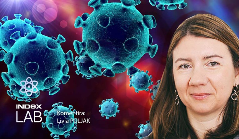 Dr. Livia Puljak piše za Index o obmanama u vrijeme koronavirusa: Čuvajte svoj novac
