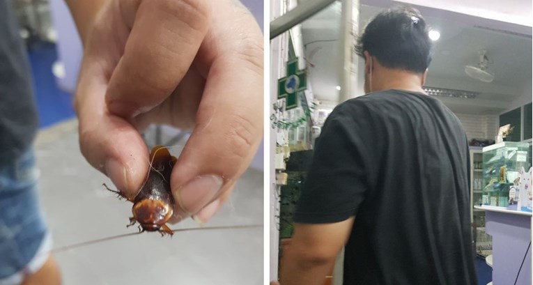 Veterinar pokazao koga mu je lik doveo na liječenje: "Svaki život treba cijeniti"