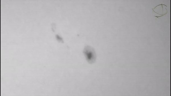 VIDEO Virovitičanin uhvatio prelet aviona ispred Sunčevih pjega, pogledajte snimku