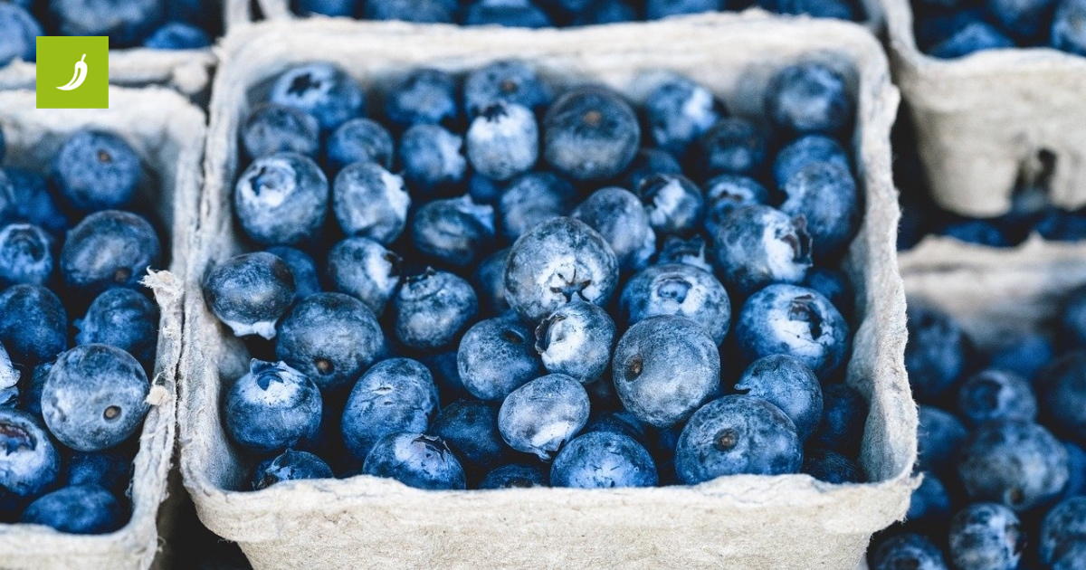 Evo zbog ega biste trebali obogatiti svoj jelovnik Evo zbog ega biste trebali obogatiti svoj jelovnik