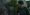 30 godina stariji Rene i ostala čuda: Ovo su tri najbizarnije stvari u Generalu