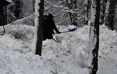 Papuk - Najnovije i najčitanije vijesti - Index.hr