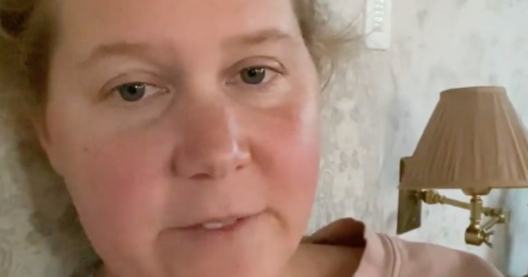 Amy Schumer iskrenom objavom nasmijala mnoge roditelje