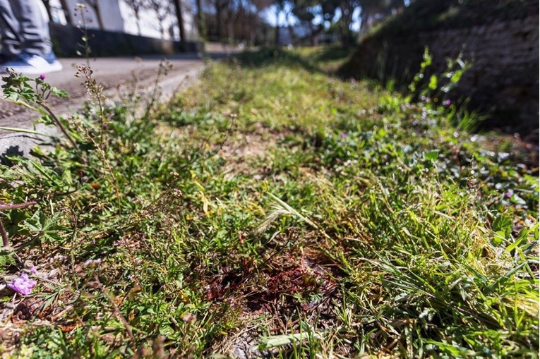 Ministarstvo osudilo napad na učenika u Zadru, zatraženo očitovanje škole