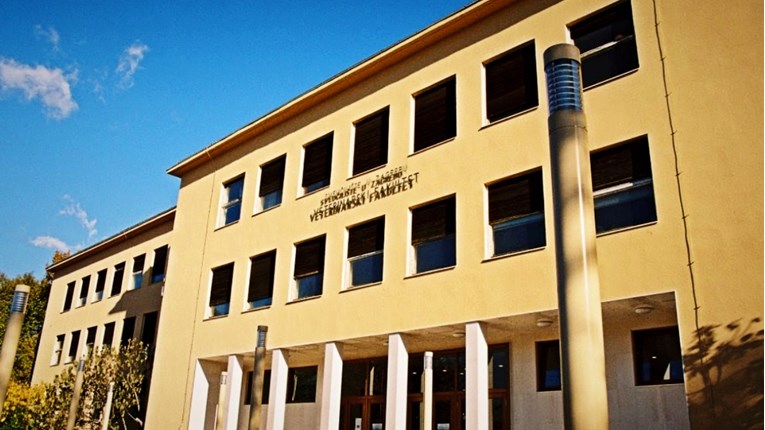 Prijavljen profesor Veterine: Bila si zločesta curica