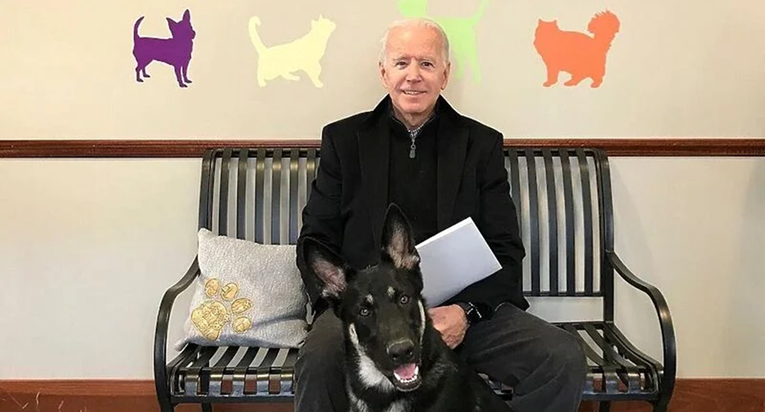 Bidenov Major je prvi udomljeni pas u Bijeloj kući, priredit će mu i veliku svečanost
