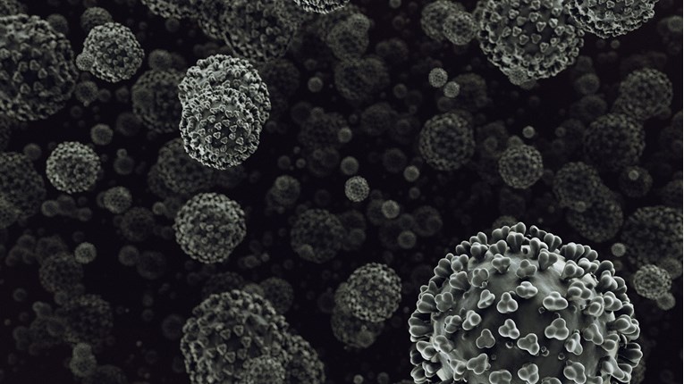 Norveški znanstvenici: Naše otkriće mijenja povijest epidemije korone u svijetu