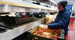EU zbog krize izazvane ratom u Ukrajini povećava proizvodnju hrane