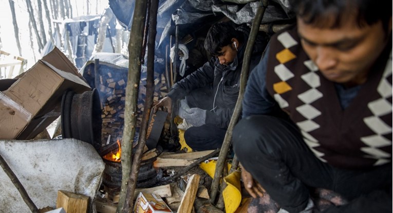 FOTO Stotine migranata provode zimu u šumama oko Velike Kladuše