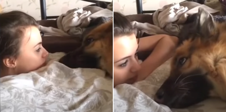 Vlasnica pitala psa kako je, njegov odgovor će vas raznježiti