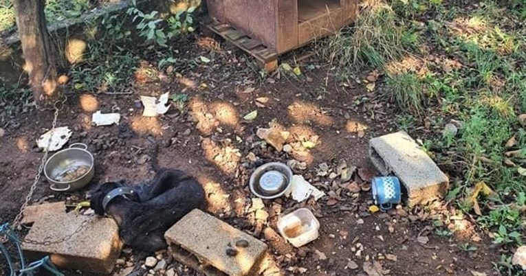 Prijatelji životinja poručili: Dosta je mučenja životinja na lancu
