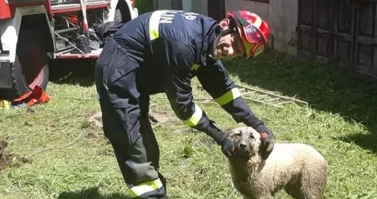 Mlada ženka kangala spašena iz septičke jame zahvaljujući ogulinskim vatrogascima