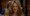 Omiljene cipele Carrie Bradshaw bit će veliki hit godine