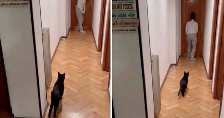 Mačka i vlasnica igraju Squid Game, jasno je da bi ljubimica izborila pobjedu