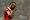 Vieira: Balotellija bih rado ošamario, ali ne smijem