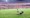 Austria Beč - Club Brugge 1:1, pogodak Balabana