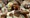 Australian Open: U finalu Agassi i sestre Williams