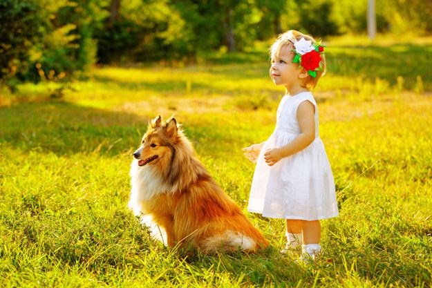 Ljubav prema kućnim ljubimcima jednaka je ljubavi prema djeci