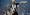 Legendarni Alan Shearer spašava Newcastle od ispadanja?