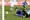 Dinamo - Zagreb 5:0