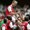 Bergkamp: Volio bih se vratiti u Englesku kao trener