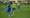 Dinamo razbio Inter, a Osijek i Rijeka remizirali