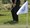 Predsjednik Mesić uči igrati golf?