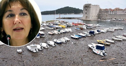 Europska komisija odgovorila na Šuicin apel zbog albanskog otpada