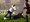 Hajduk vodio protiv Rome, pa ispao zbog najglupljeg gola u povijesti kluba