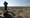 Irak: Zapadni zrakoplovi napali lanser projektila nedaleko Basre