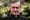 Opus Dei - organizacija od velikog utjecaja na djelovanje Crkve