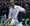 ATP Bangkok: Ljubičić zaustavljen u polufinalu