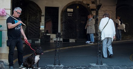 Lolita ima malu želju za veliku sreću