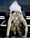 Madonna na londonskoj premijeri novog Harrya Pottera