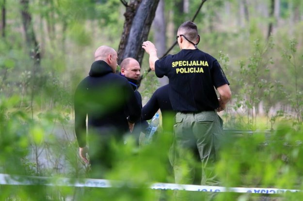 prikolica park gay sex