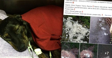 UGINULA NAJMANJE TRI PSA Bolesnici truju životinje po cijeloj Hrvatskoj