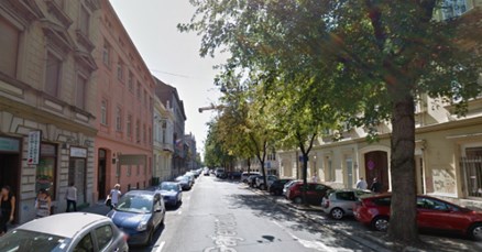 Zelena akcija sazvala hitnu press konferenciju: "Žele rušiti 15 stabla u Gajevoj"