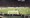 Beira Mar - Sporting 1:3