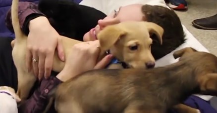 VIDEO Teško bolesnu ženu iznenadili hrpom štenaca