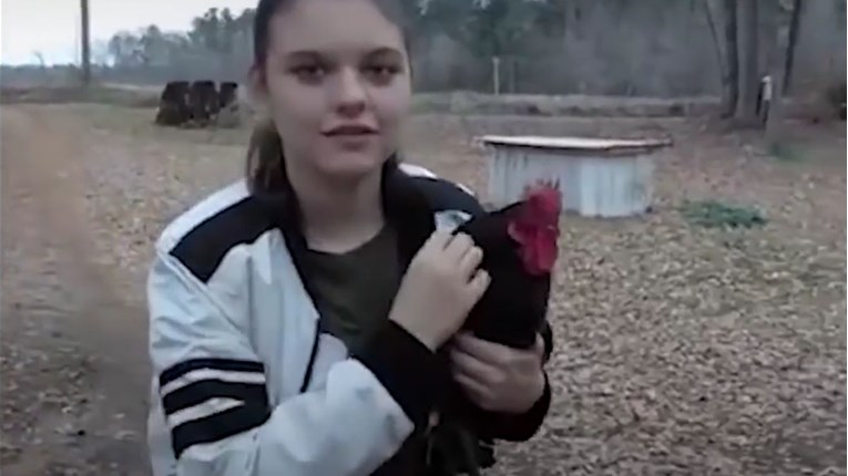 VIDEO Ovaj pijetao svaki dan dočeka svoju prijateljicu kada se vraća iz škole