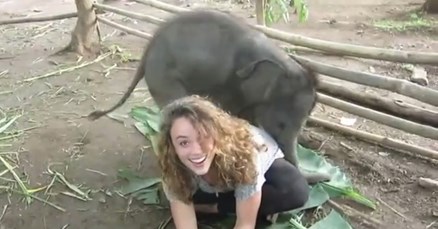 VIDEO I slonovi vole zagrljaje!