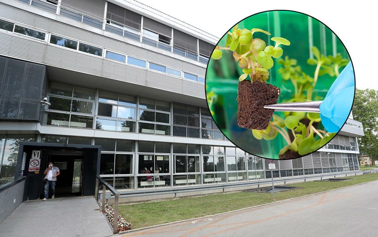 Međunarodne liste otkrile koji je najbolji fakultet u Hrvatskoj i šire