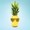 Ananas dijeta za seksi tijelo