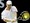 Roddick osvojio Washington, Robredu Sopot