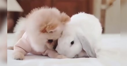 "TO JE LJUBAV" Uživat ćete gledajući ovaj video