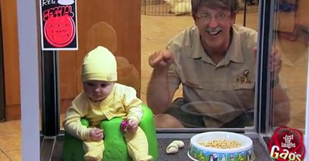 Kupce pet shopa šokirali kutijom s "bebom na prodaju"